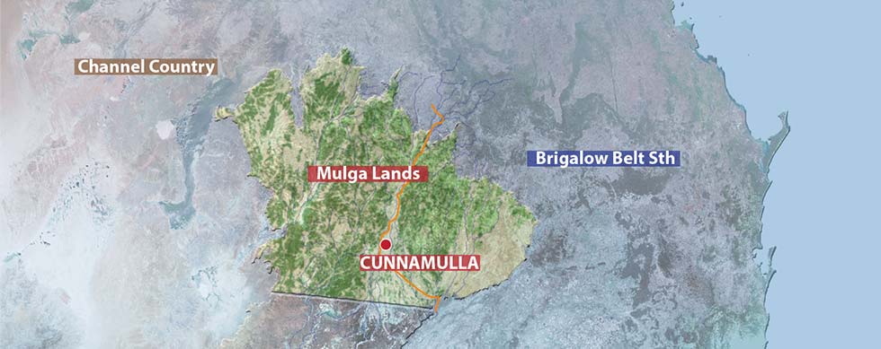 mulga lands