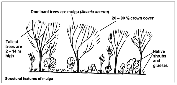 mulga map