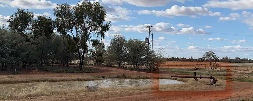 wetlands image