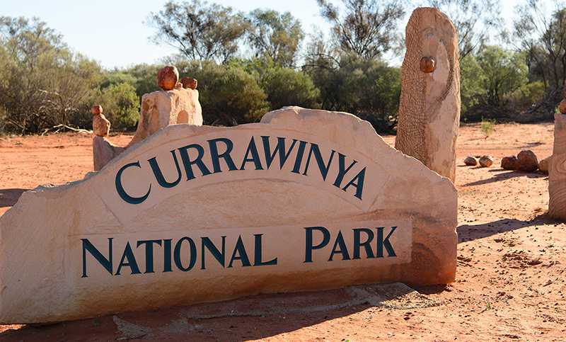 Currawinya National Park home to hundreds of bird species