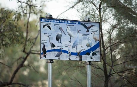 sign with birds seen in eulo