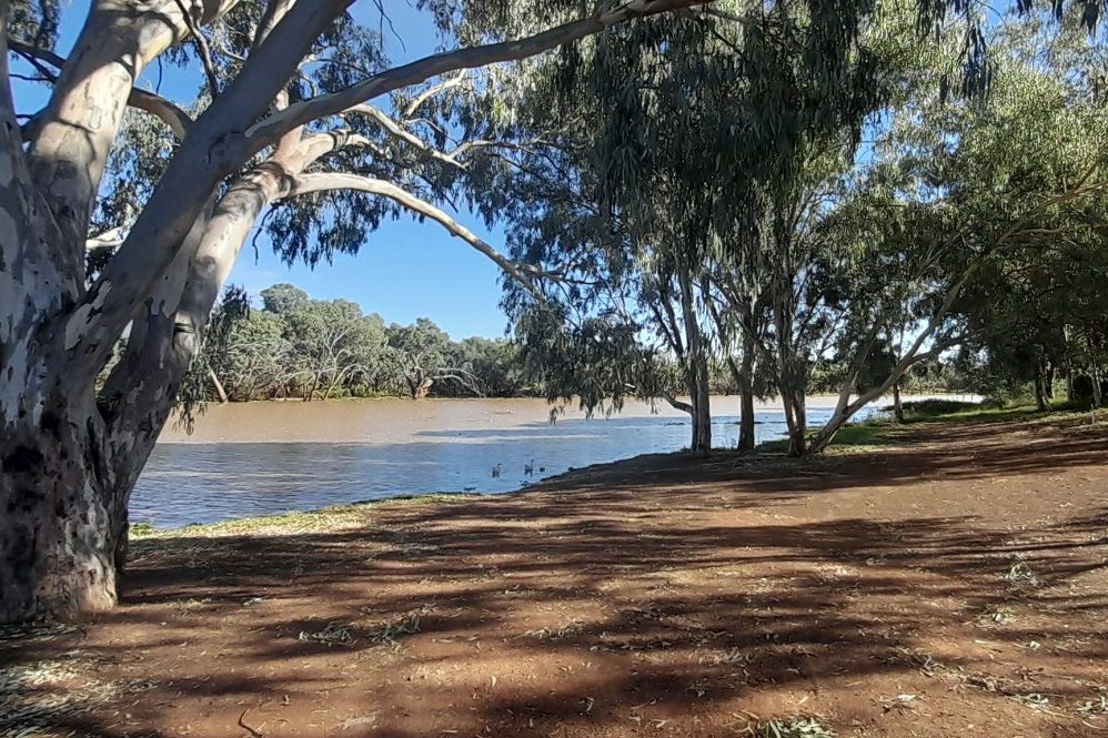 The Warrego River Walk Cunamulla