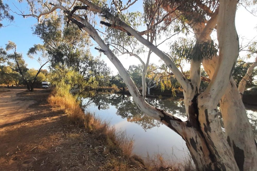 Eulo Free Camp Paroo River