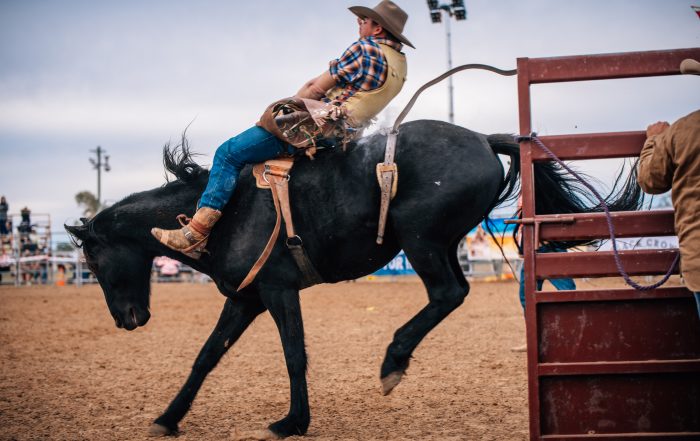 Broncs at the Cunnamulla Fella Roundup