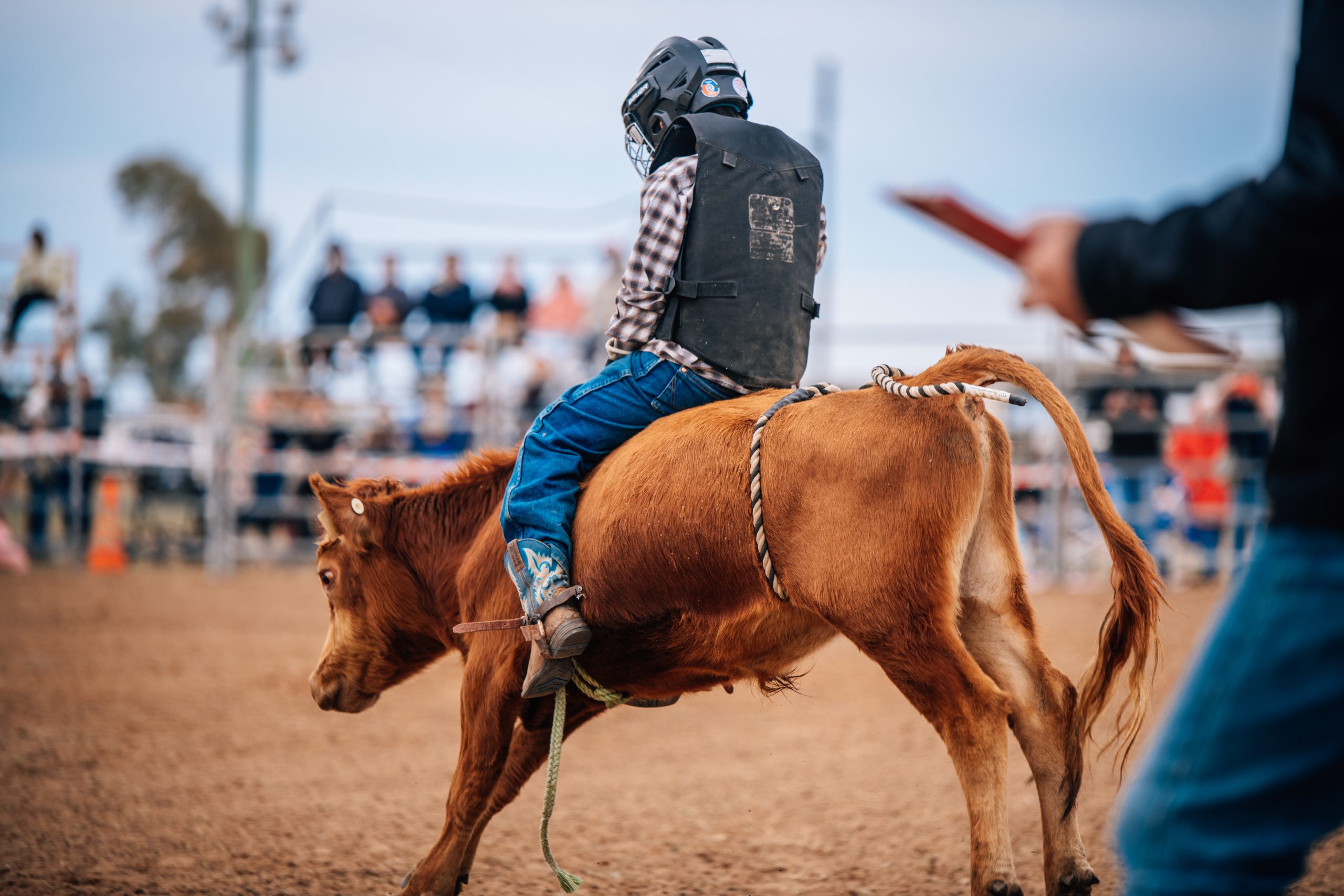 CunnamullaFellaFestival988_AlivenPhotography Junior Bullride Cunnamulla Fella Roundup