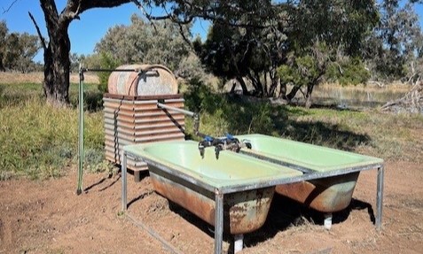 Francvillers Bathing at Francvillers