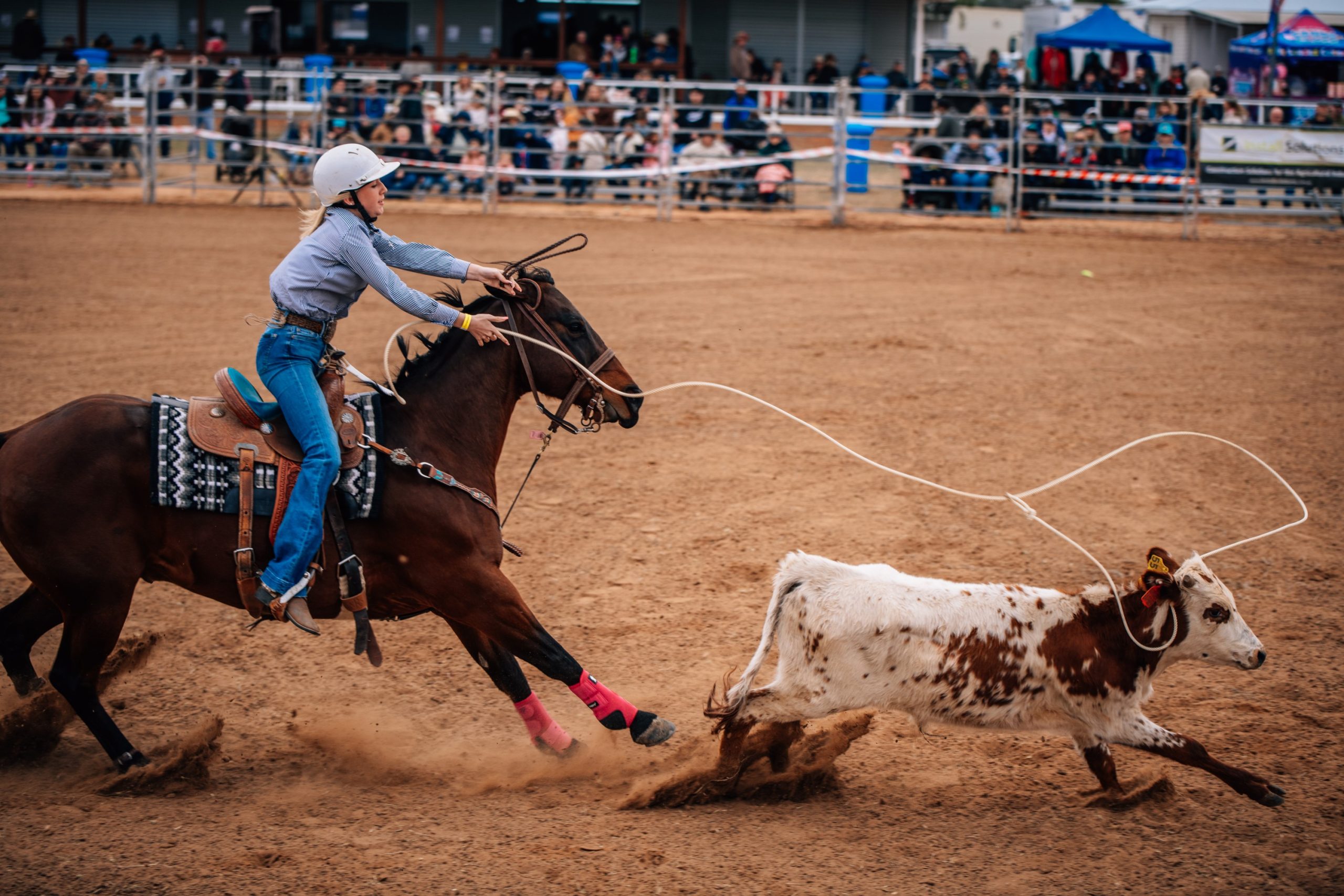 Roping Roping at the Cunnamulla Fella Roundup
