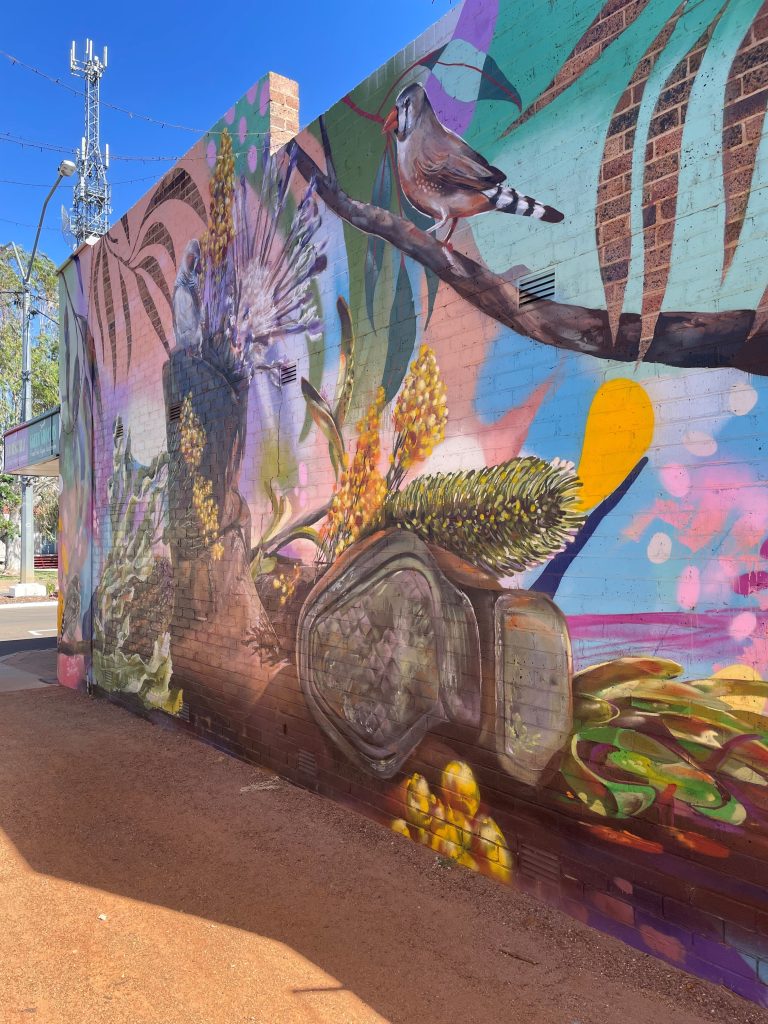 Lane art 1 Cunnamulla Murals