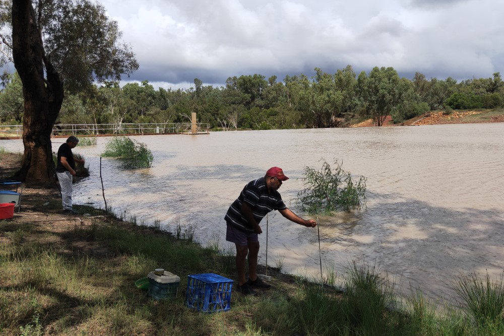 Fishing on the Warrego
