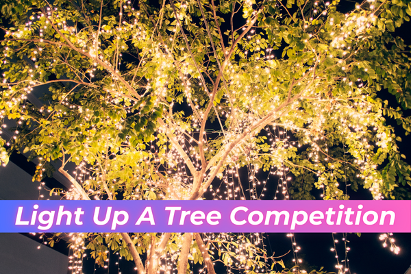 Adopt and Light Up A Tree Competition