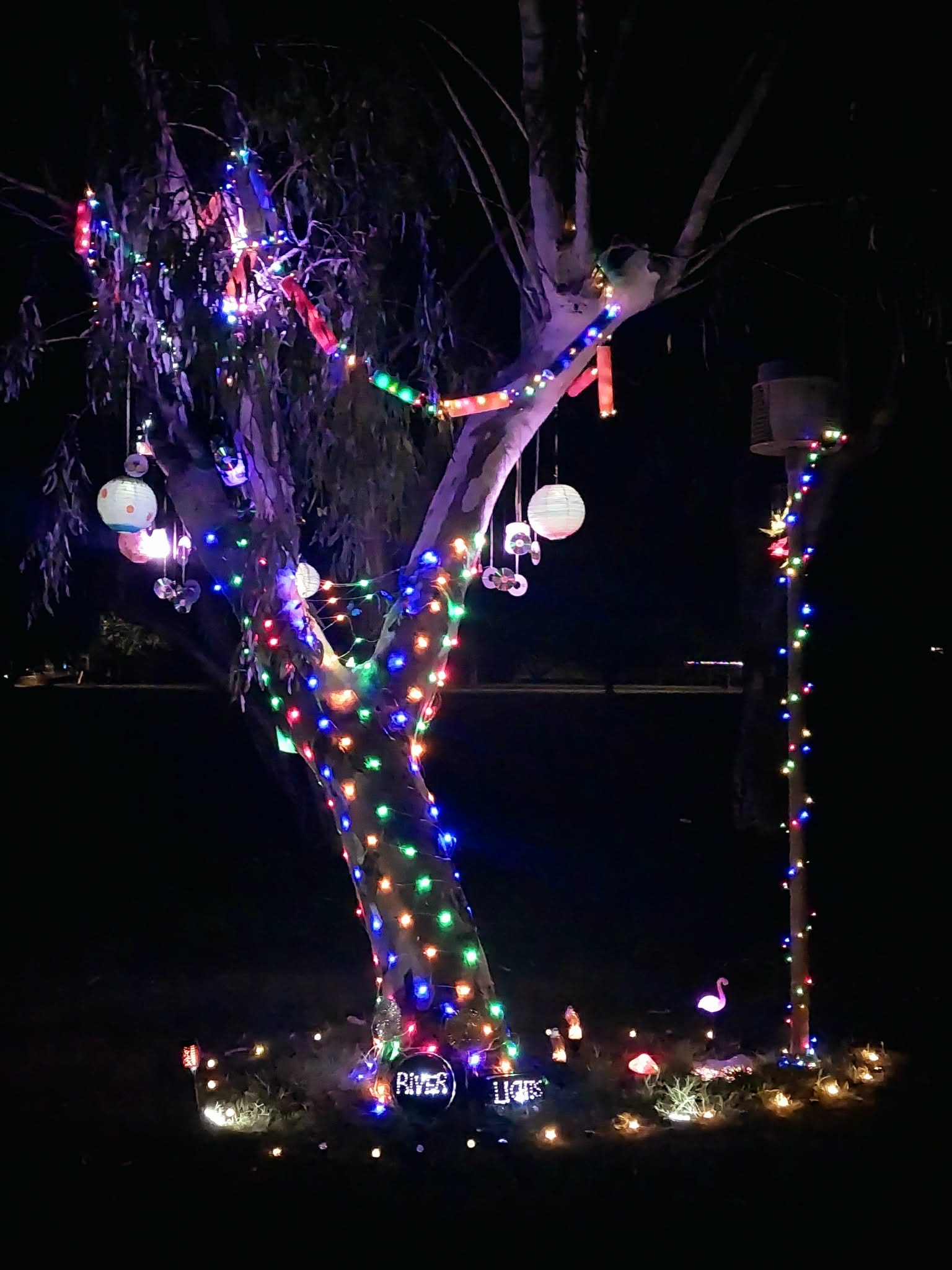 Light Up a Tree Winning Entry