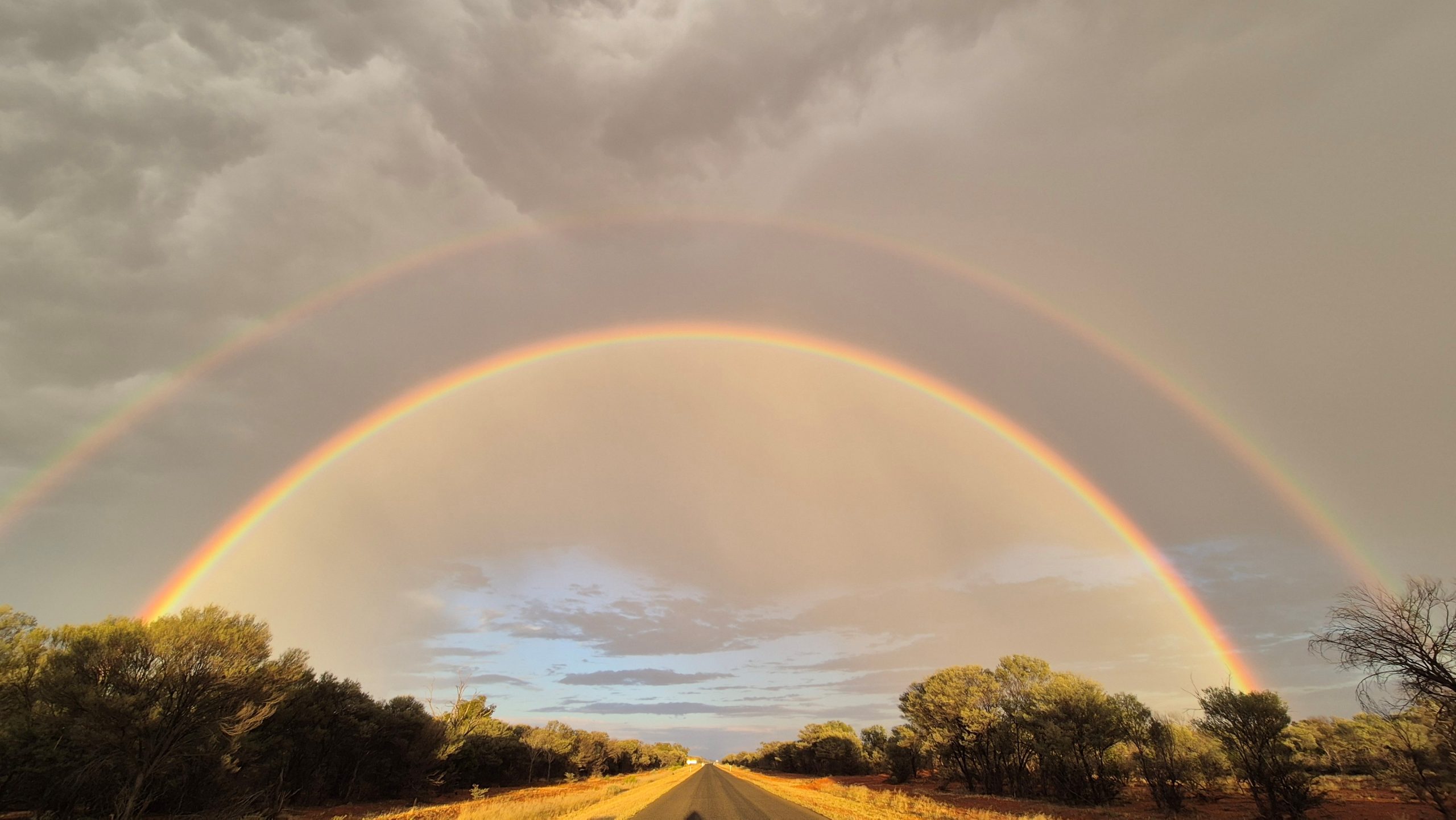 A Rainbow to Work by Tahli Virtue