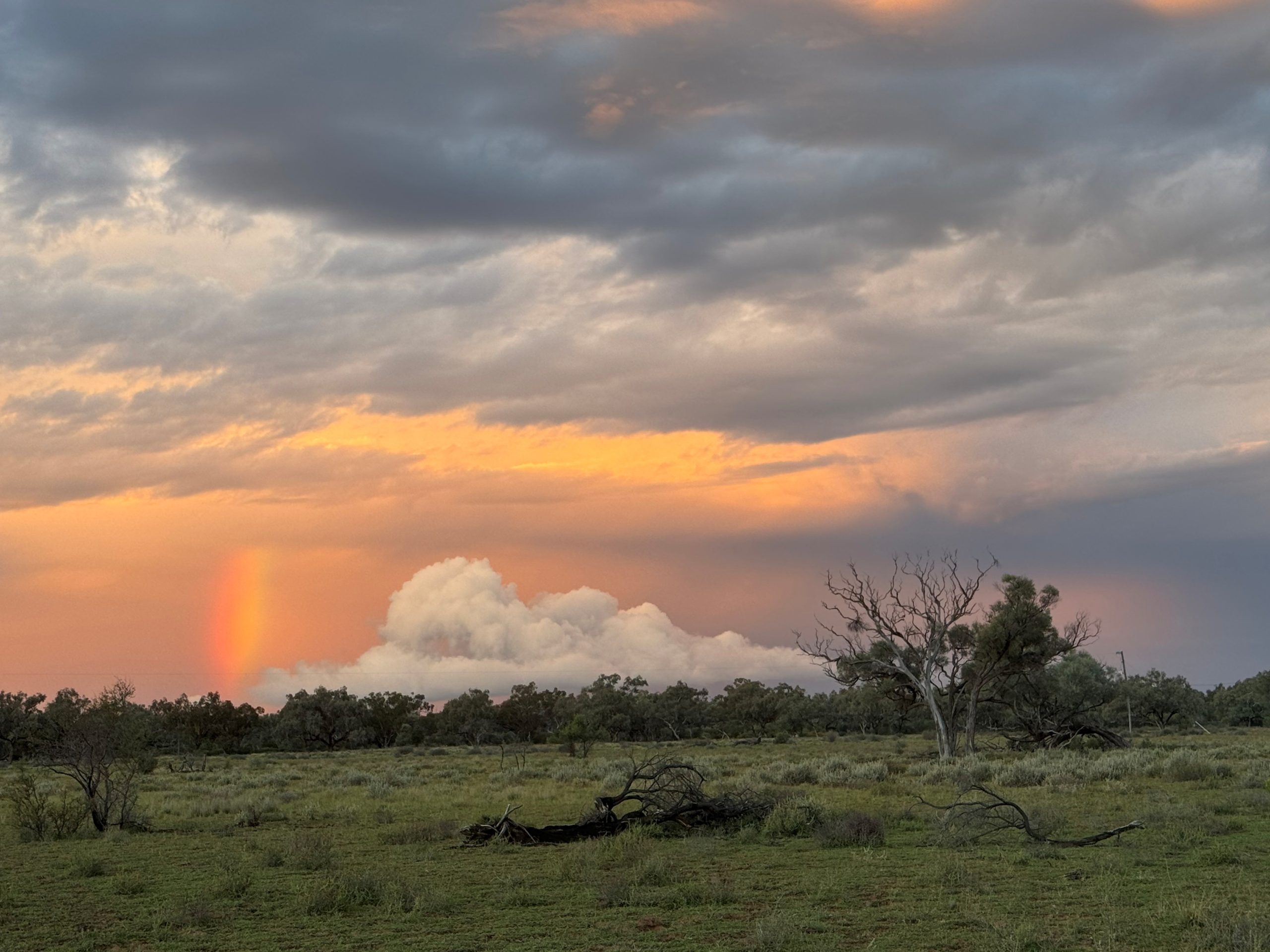 After the Storm by Jemma Jones