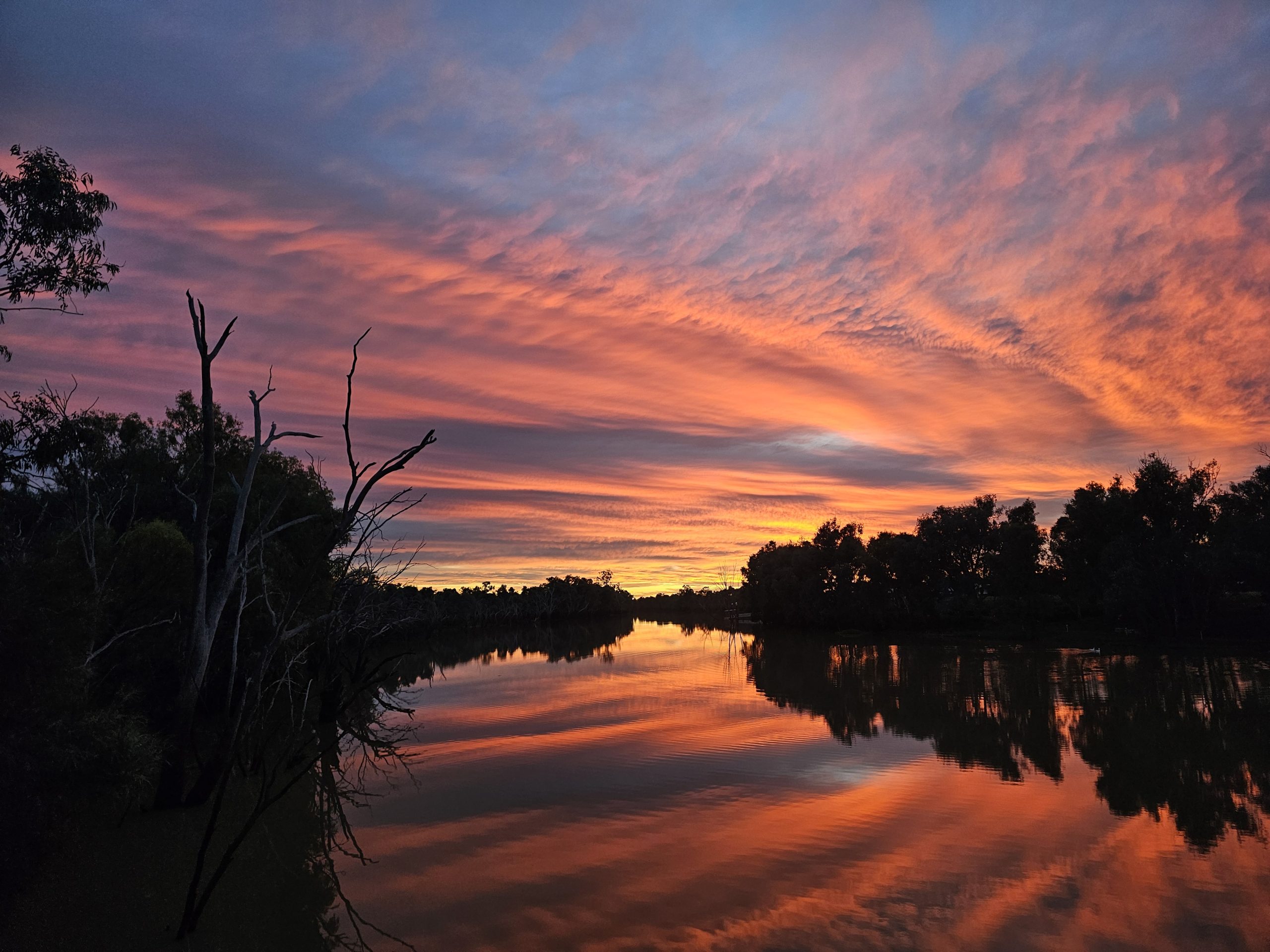 River Reflections by Dani Young