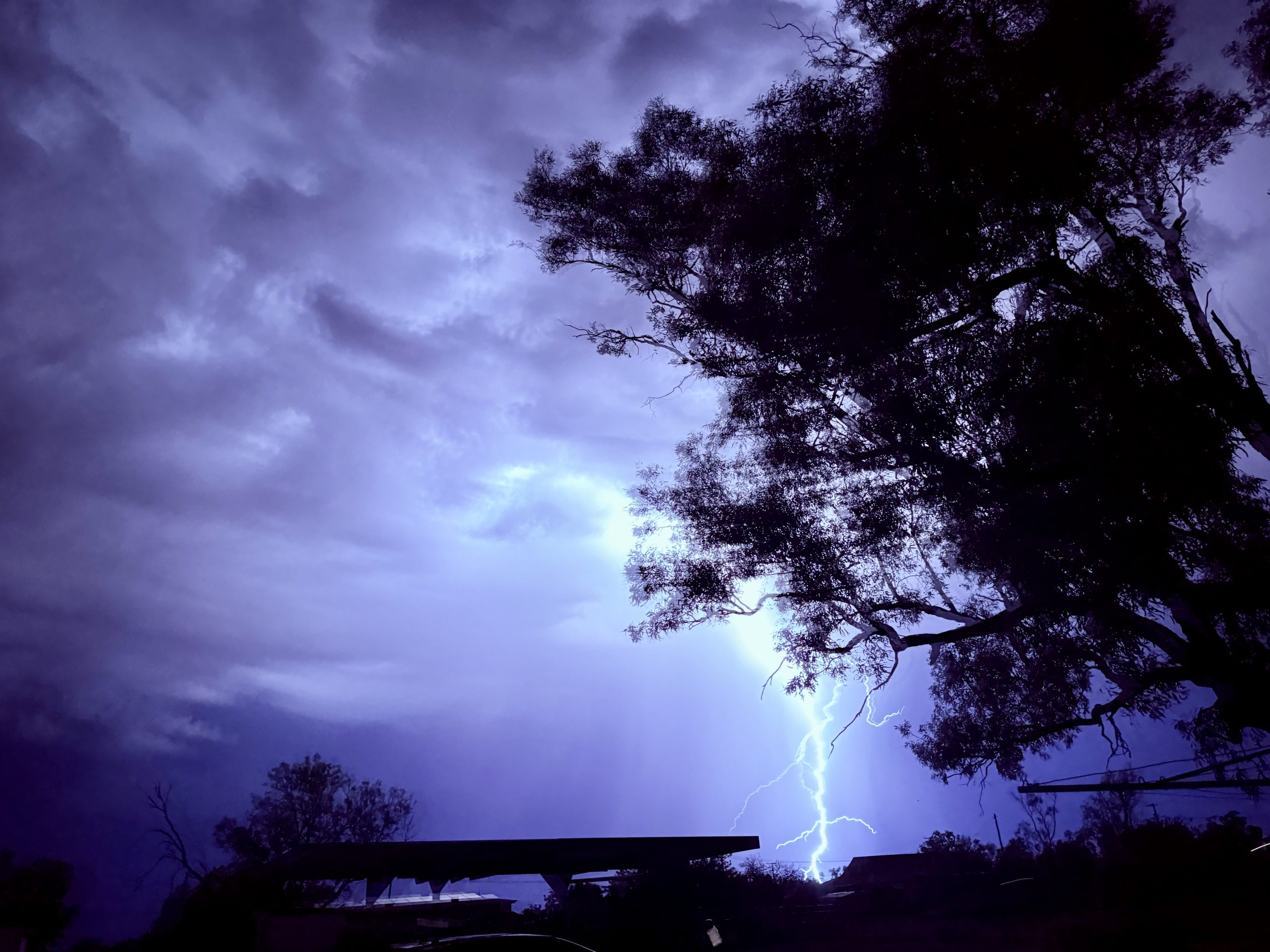 Summer Storm by Ellie Charlton